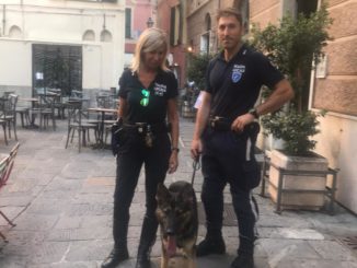 lupo polizia locale Albenga e Riviera di Ponente