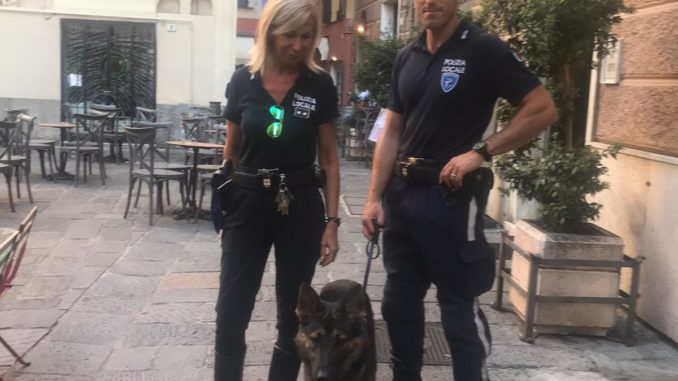 lupo polizia locale Albenga e Riviera di Ponente