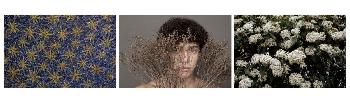 Alessandra baldoni-Atlas_Cartografie del silenzio_5-2019