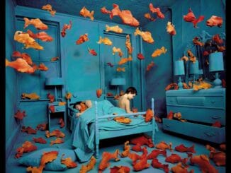 SANDY SKOGLUND, Revenge of the Goldfish 1981