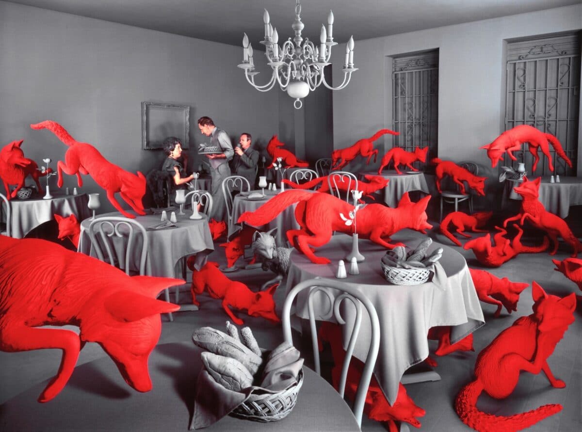  SANDY SKOGLUND_FOX GAMES 1989