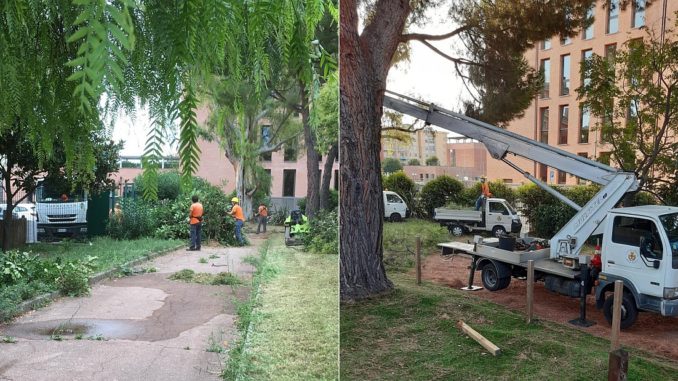 Albenga - cantonieri al lavoro per asilo