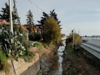 Albenga - pulizia rio Carenda