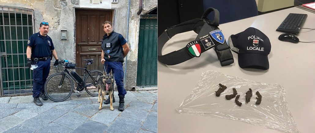 Polizia Locale operazione Lupo ad Albenga