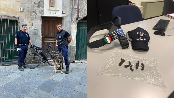 Polizia Locale operazione Lupo ad Albenga