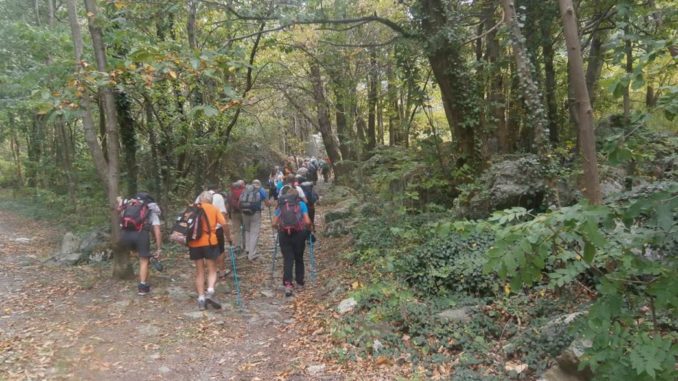 Sentiero sulla Via Francigena