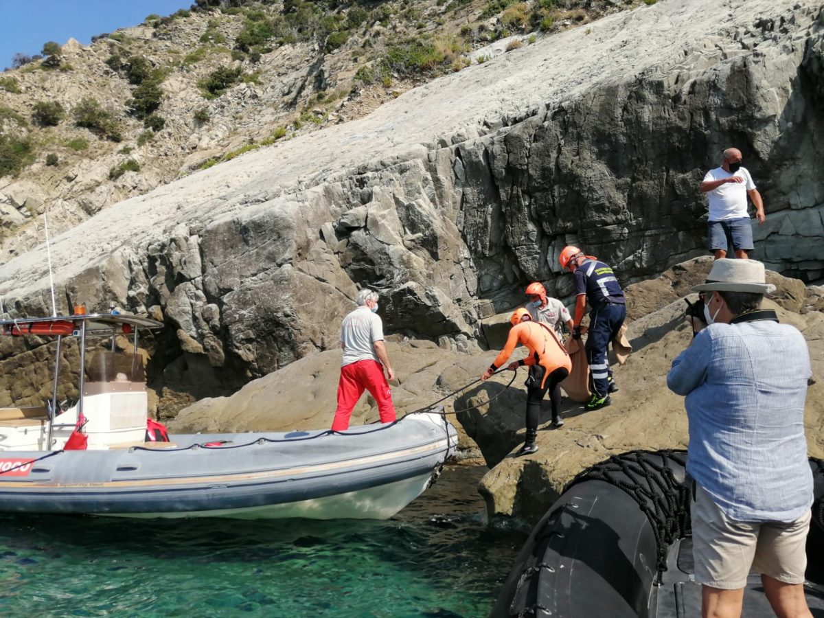 salvataggio caprette imprigionate scogliera tra Levanto e Monterosso