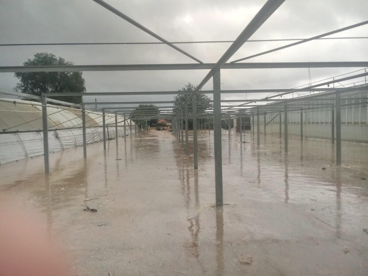 Allagamenti serre di Albenga