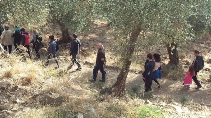 Andora - percorso Camminata fra gli ulivi