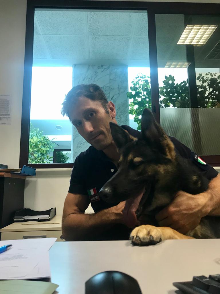 Lupo polizia locale Albenga