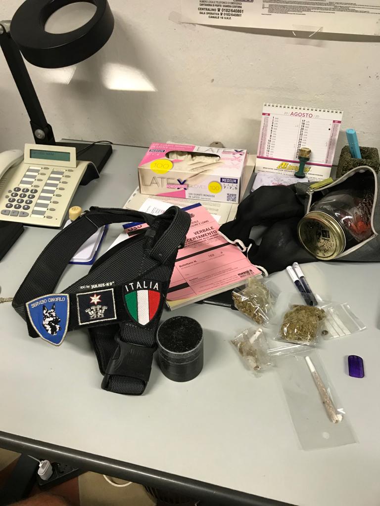 Lupo polizia locale Albenga