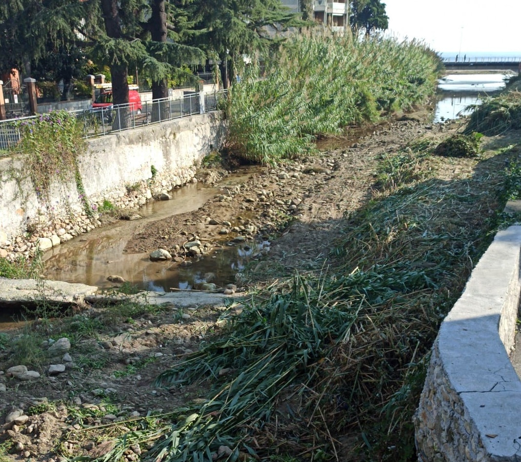 Lavori Nimbalto
