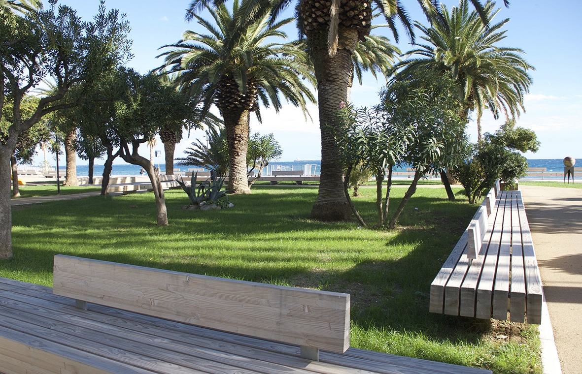Savona ZinolArt