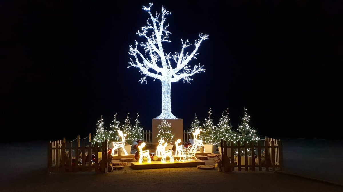 Andora - Albero di Natale sul molo Thor Heyerdahl