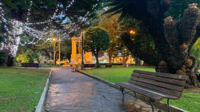 Luminarie natalizie Alassio 2020 - ALbero e giardini
