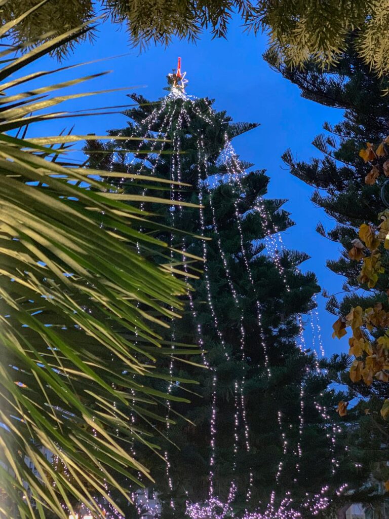 Luminarie natalizie Alassio 2020 - Albero vicino