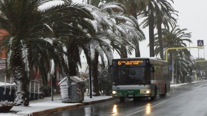 Tpl Bus neve