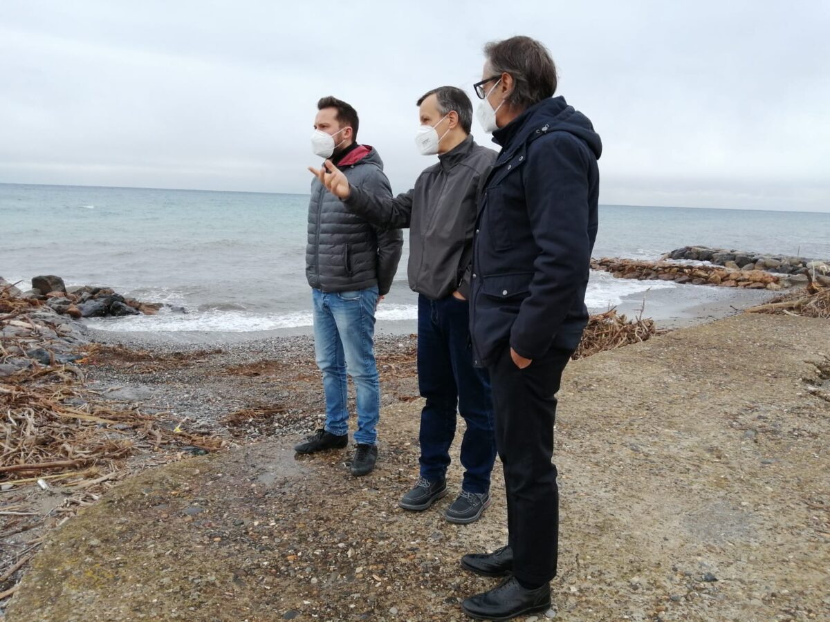 progetto moli