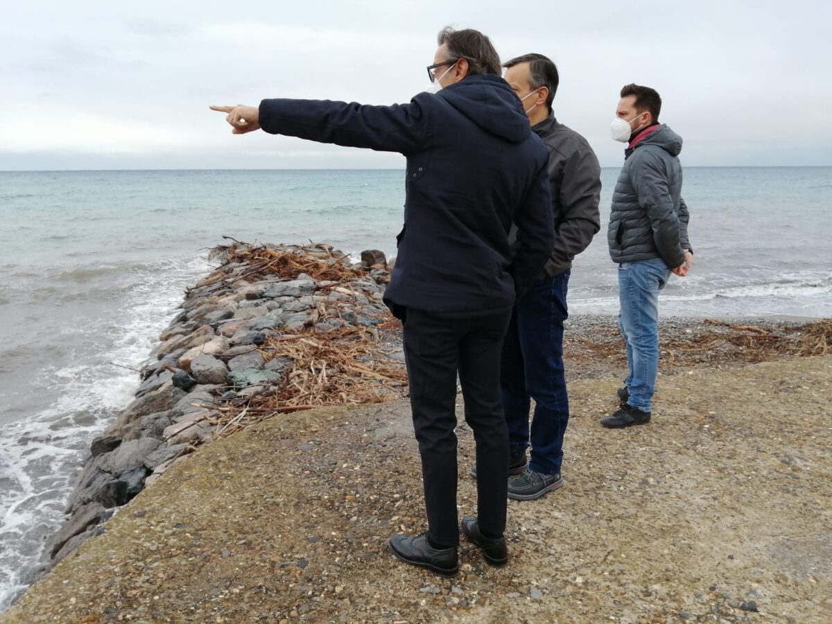 progetto moli