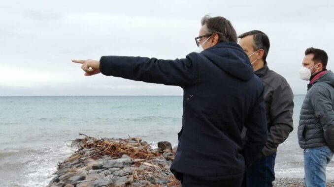 progetto moli
