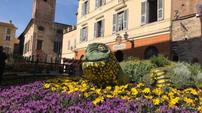 Fior d'Albenga