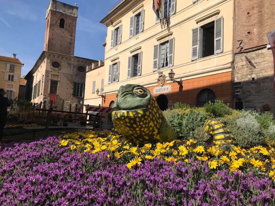 Fior d'Albenga