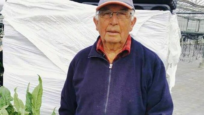 Albenga Giovanni Battista Enrico In azienda