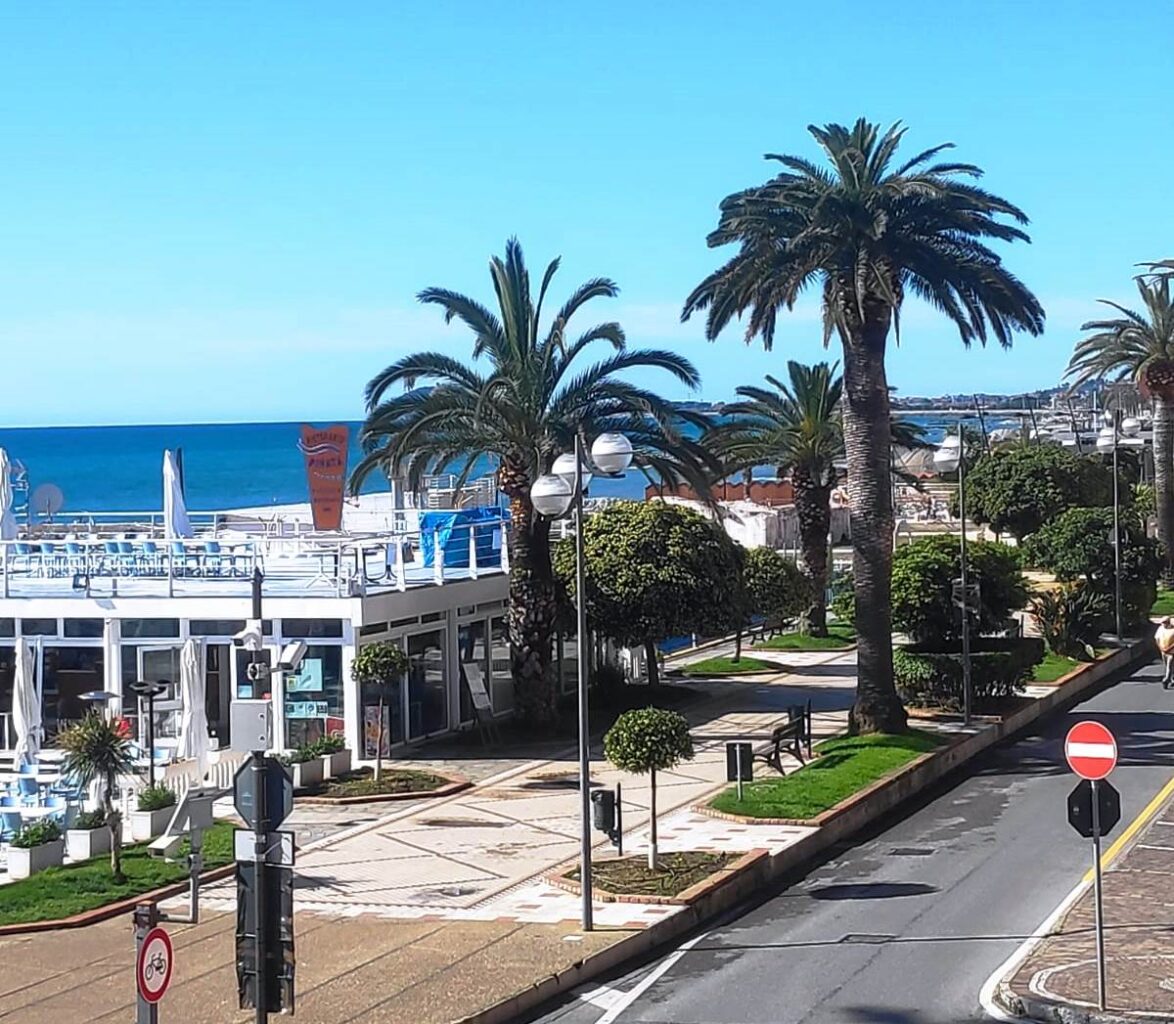 Palme passeggiata Ceriale