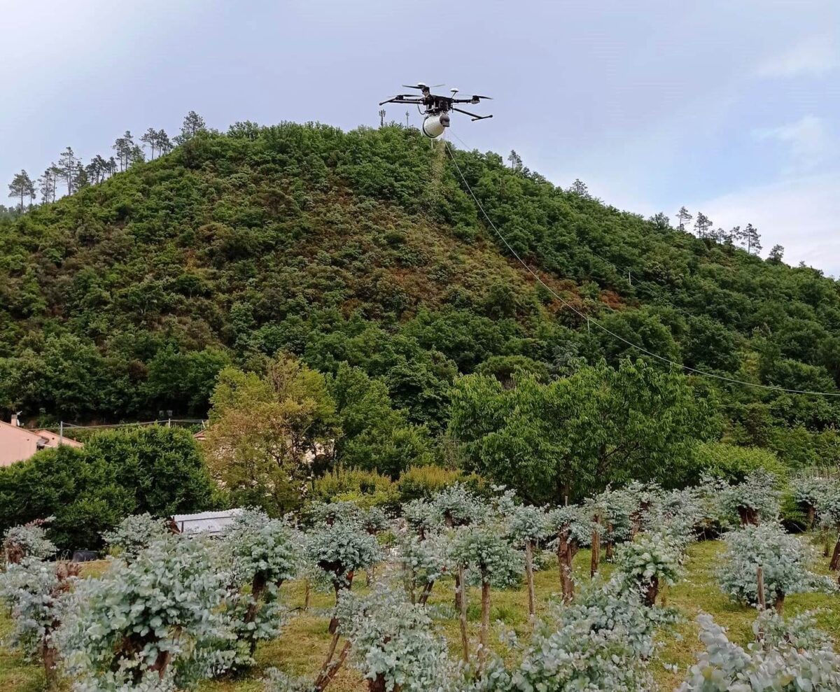 drone lancio insetti predatori