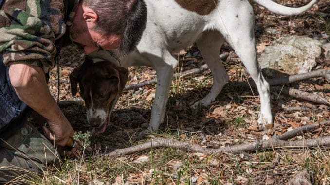 Liguria a Millesimo apertura stagione tartufo
