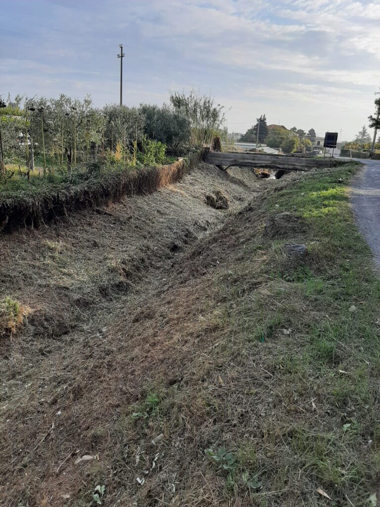 pulizia Rio Enesi tratto compreso tra Strada Comunale Albenga Cenesi e li sbocco dul Torrente Neva 2
