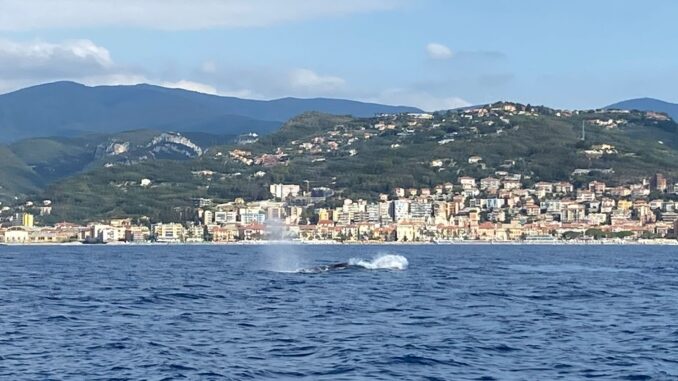 Liguria, una “miniera” per studiare le migrazioni antiche