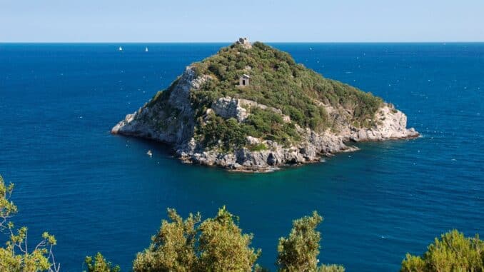 isola gallinara