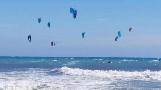 onde e gabbiani in volo