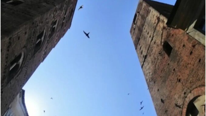 Albenga con vista delle torri del centro storico nella foto di Roberto Ruaro