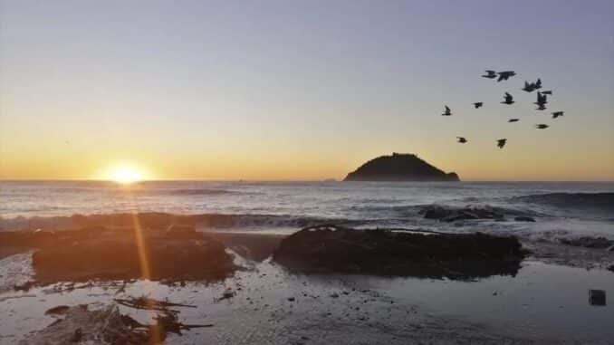 Una alba ad Albenga con gabbiani in volo vista mare e Isola Gallinara nella foto di Roberto Ruaro