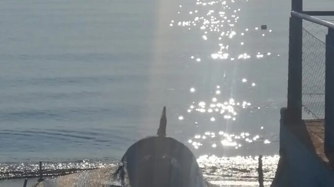 Un orizzonte di mare e di Luna ad Albenga