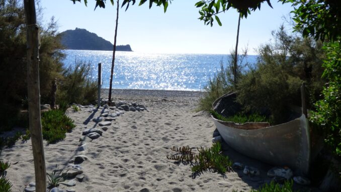 orme sulla spiaggia si dirigono verso il mare