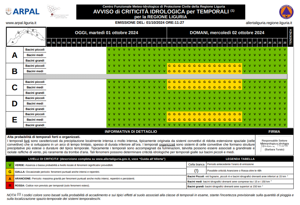 Criticità