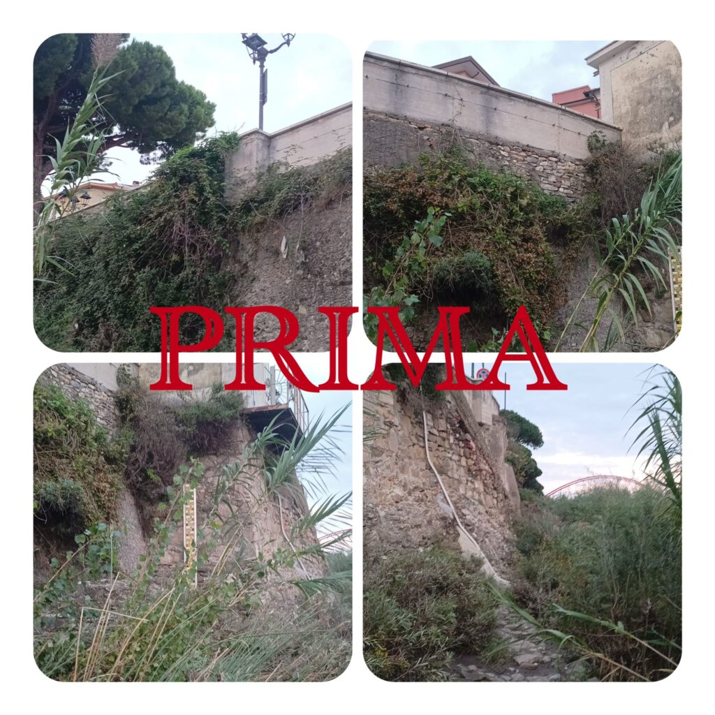 prima centa