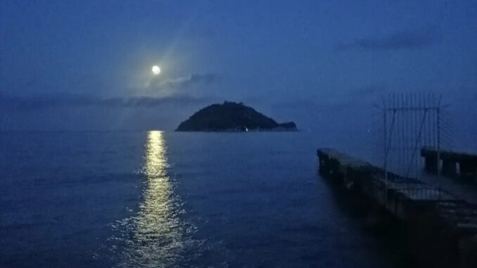 nel blu dell'Isola Gallinara