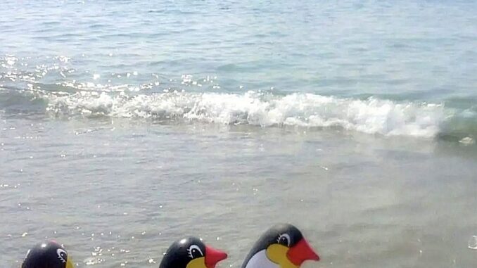 I pinguini d'Albenga