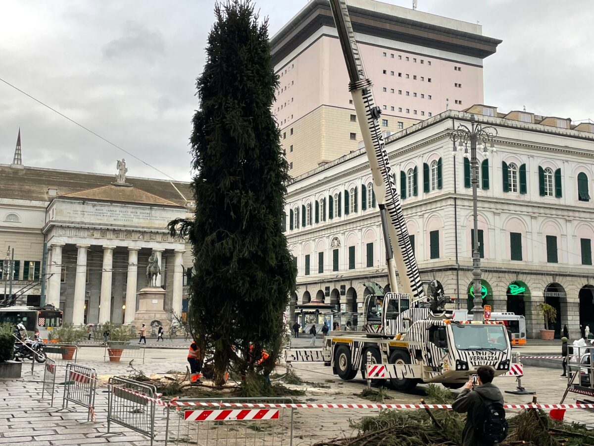 Albero di Natale Genova