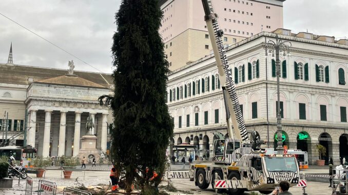 Albero di Natale Genova