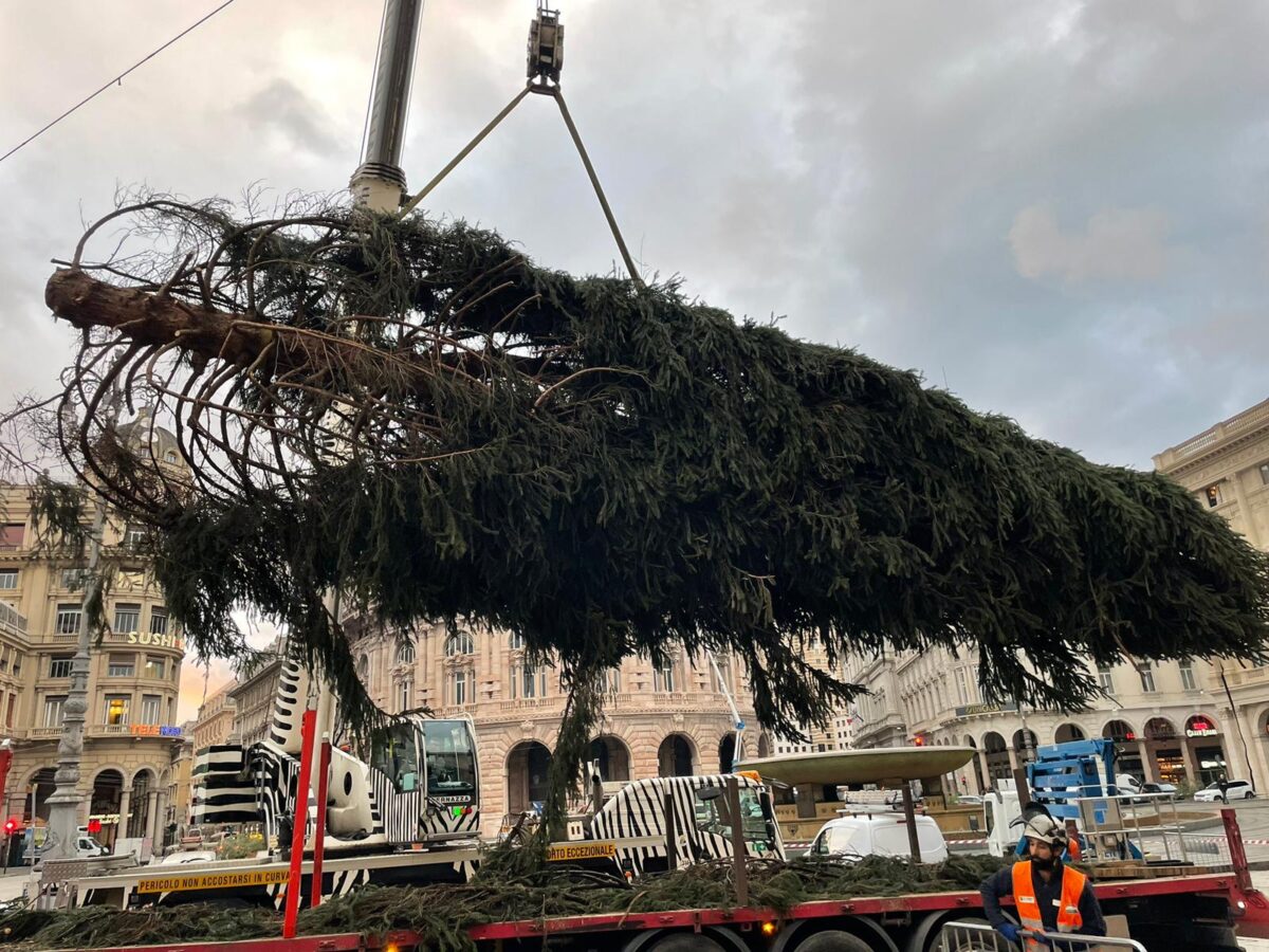 Albero di Natale Genova