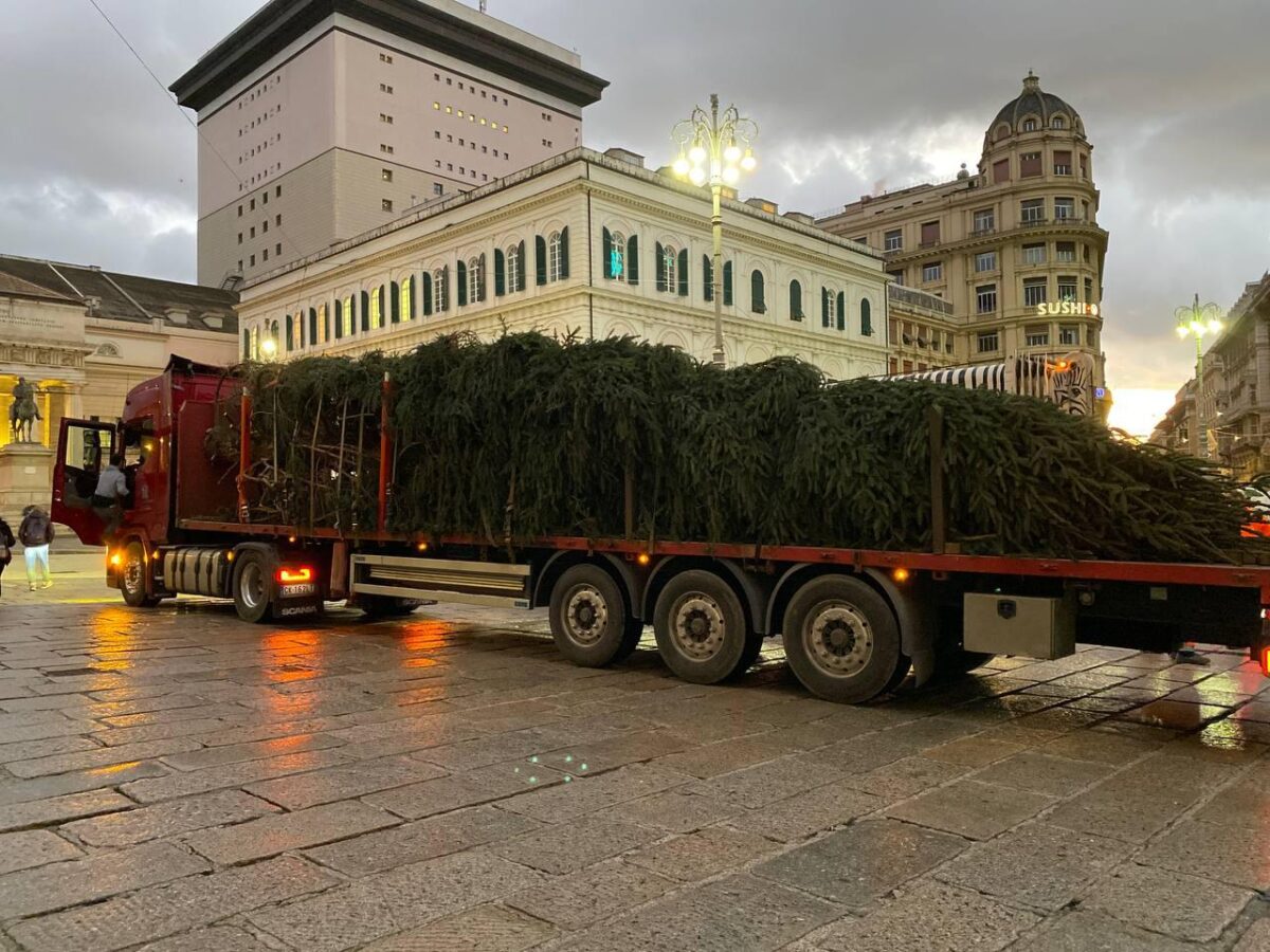 Albero di Natale Genova