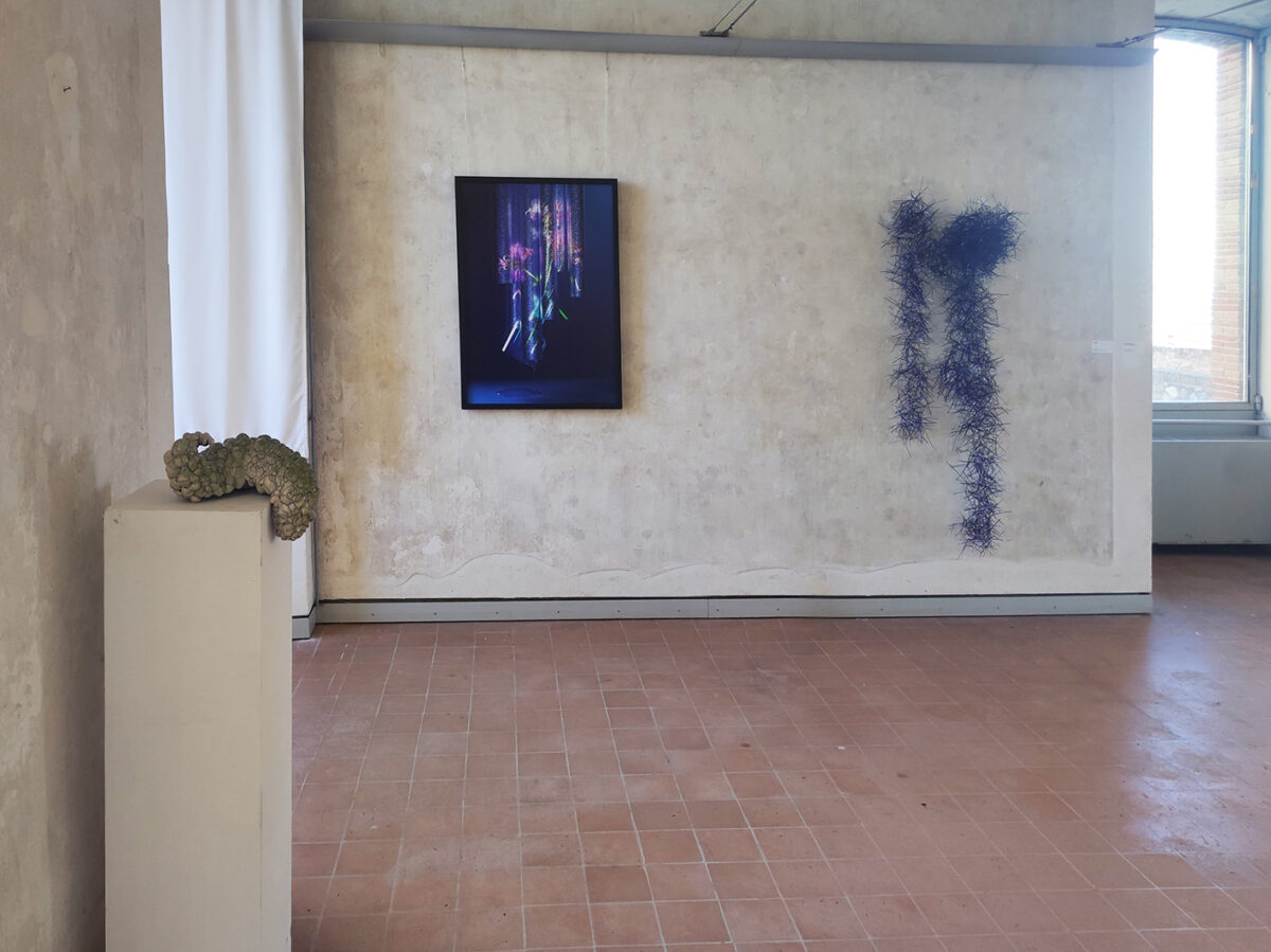 Arteam Cup 2023, veduta della mostra finale, Palazzo del Commissario, Savona, primo piano