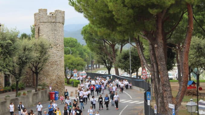 Cammicorsa a Villanova d'Albenga