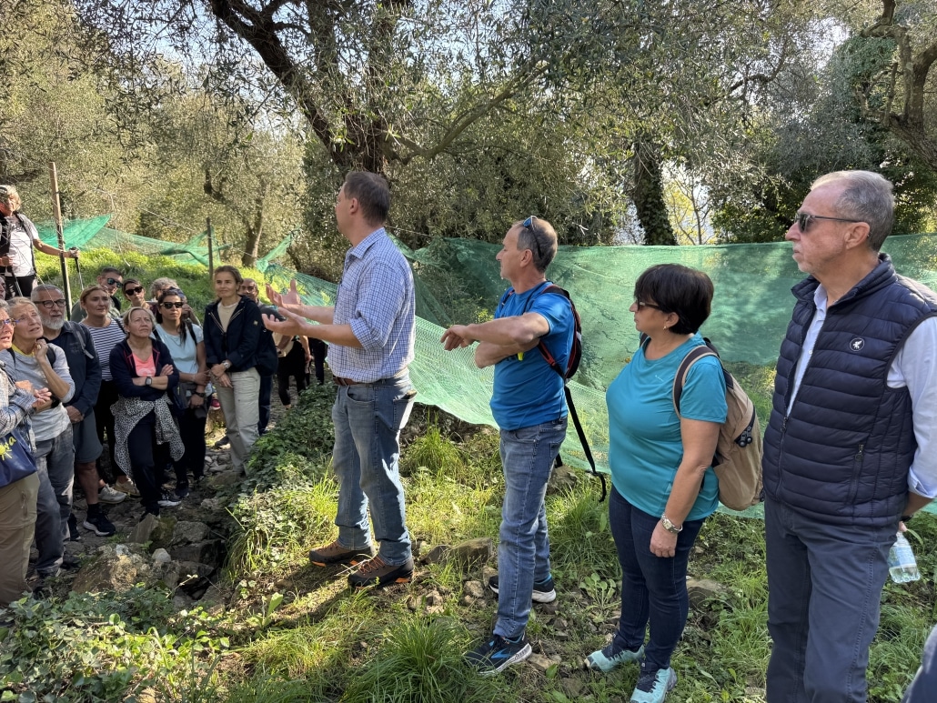 Camminata tra gli ulivi ad Andora