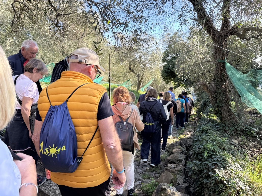 Camminata tra gli ulivi ad Andora